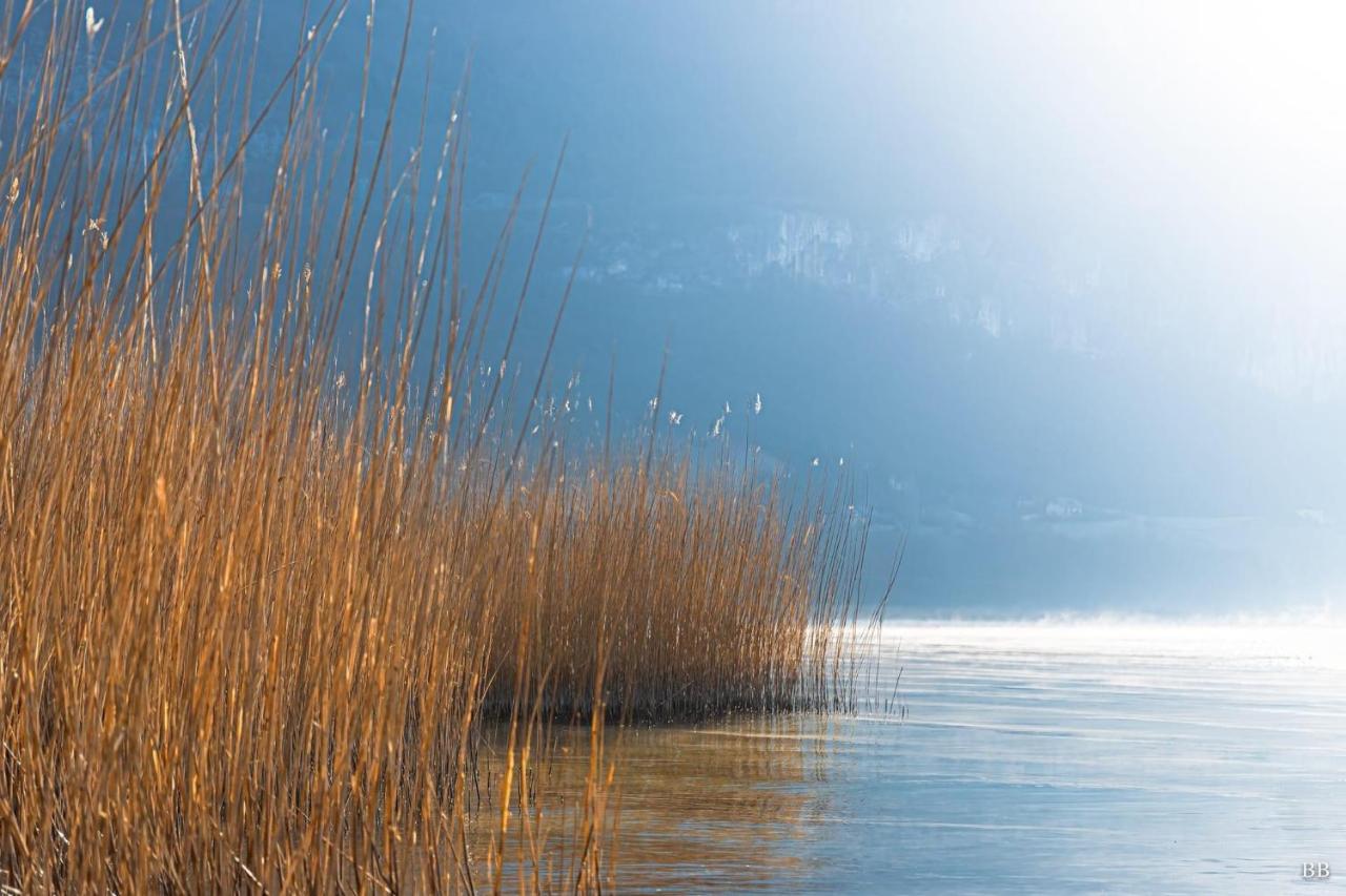 Du Vent Dans Les Arbres -120M2 Belle Vue Sur Le Lac Chindrieux ภายนอก รูปภาพ