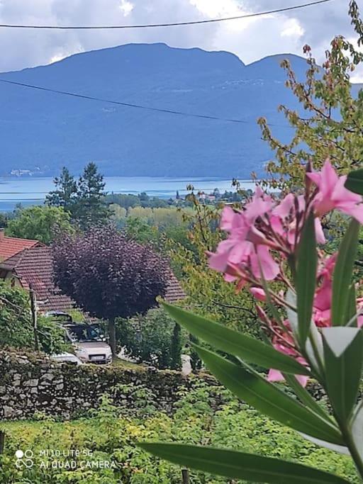 Du Vent Dans Les Arbres -120M2 Belle Vue Sur Le Lac Chindrieux ภายนอก รูปภาพ
