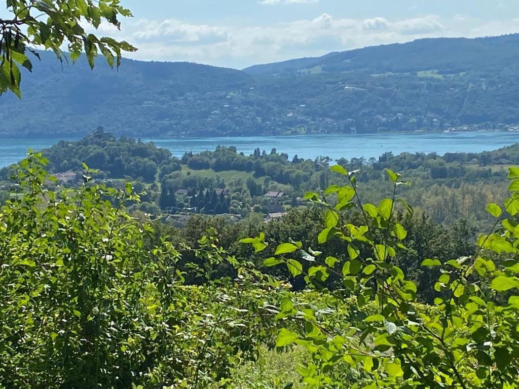 Du Vent Dans Les Arbres -120M2 Belle Vue Sur Le Lac Chindrieux ภายนอก รูปภาพ
